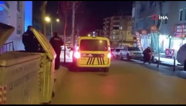 Ağabey ve kardeşin kavgası kanlı bitti
