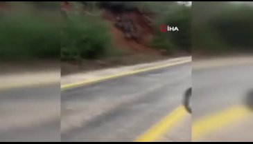Bursa'da domuz sürüsü karayoluna indi