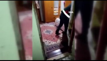 Yalova'da Roma dönemine ait "taş mozaik tablo" ele geçirildi! 1 gözaltı