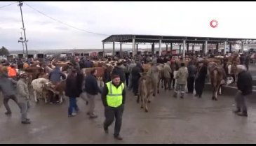 Yozgat'ta canlı hayvan pazarlarında sıkı denetim