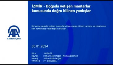 Doğada yetişen mantarlar hakkında doğru bilinen yanlışlar neler?