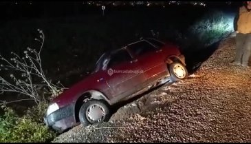 Bursa'da köpek hayat kurtardı! Otomobil dereye uçmaktan son anda kurtuldu