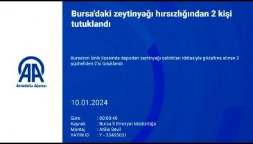Bursa'da zeytinyağı hırsızlığı: 2 kişi tutuklandı
