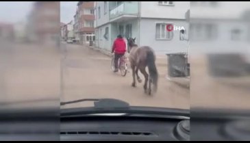 Bursa'da atı bisikletine bağlayarak götürdü