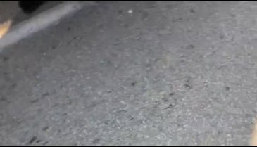 Bursa'da şehitlerimiz anılıyor!