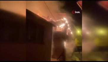 Bursa'da büyükbaş hayvanların telef olduğu yangının boyutu gün ağarınca ortaya çıktı