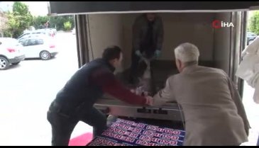 Marmara Denizi'nde dev kılıç balıkları ağlara takıldı