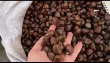 Kestane pişirmenin püf noktaları