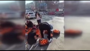 Bursa'da kamyonetten dökülen mandalinalar için herkes seferber oldu