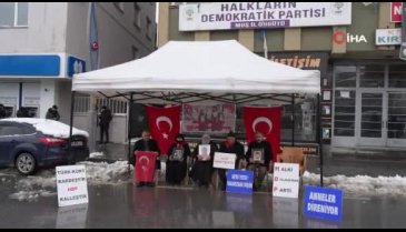 Muşlu annelerin evlat nöbeti devam ediyor