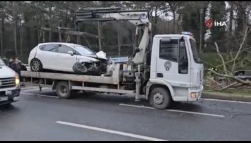 İstanbul'da otomobilin çarptığı ağaç yerinden söküldü