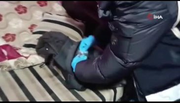 Mersin'de tarihi eser operasyonu