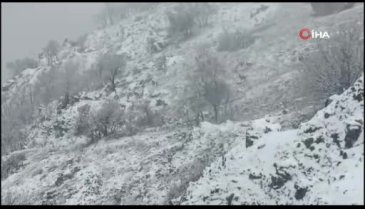 Malatya'da yaban keçileri, karlı dağlarda görüntülendi