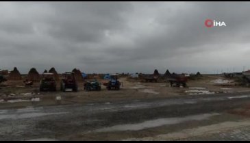 Kayseri'de beklenen yağış olmadı, kamış alanları daraldı