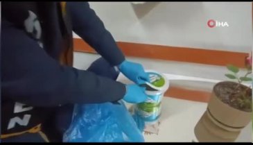 Bursa'da kekikli bonzai polise takıldı