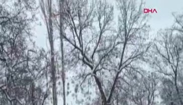 Van'da doğum yapan kadın için seferber oldular