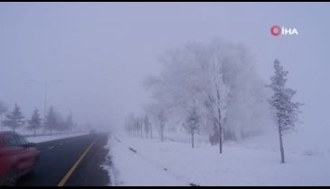 Erzurum'da kar yağışı yerini soğuk, sisli ve kırağılı günlere bıraktı
