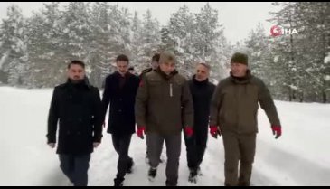 Düzce'de yaban hayvanları için yemleme yapıldı