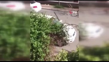 Gaziantep'te kadınlar birbirine girdi: Bıçaklar, sopalar konuştu!