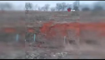 Tokatta aç kalan domuz kent merkezine indi