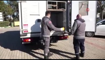 Bursa'da boynunu jiletli telin kestiği köpek sağlığına kavuştu