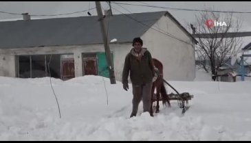 Muş'ta besicilerin imdadına atlı kızaklar yetişti