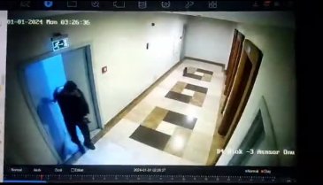 Asansöre binen kediyi öldüren şahsa sosyal medyada tepki yağdı! Kampanya başlatıldı