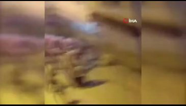 Akrabaların meydan kavgası kamerada