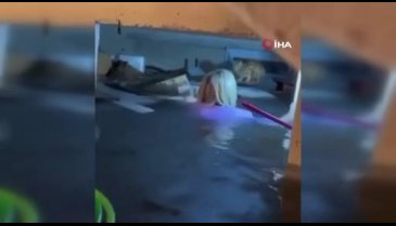 Kendi hayatını hiçe saydı, su dolu bodrumda mahsur kalan kediyi kurtardı