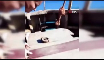 Marmara Denizi'nde batan gemideki her işe koşturmuştu! Son görüntüleri ortaya çıktı