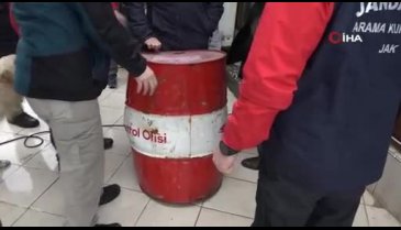 Marmara Denizi'nde batan gemiden geriye kalanlar sahile vurdu