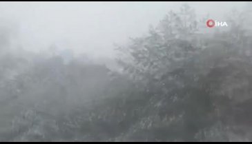 Kütahya'da ormanda mahsur kalan 3 işçi kurtarıldı