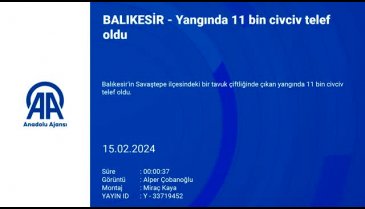 Balıkesir'de yangında 11 bin civciv telef oldu!