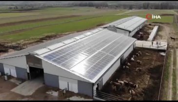 Büyükbaş hayvan çiftliğinin elektrik giderlerini GES ile karşılıyor
