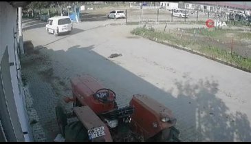Aydın'da on gün önce doğum yapan köpeği ezip öldürerek kaçtı, 4 yavru annesiz kaldı
