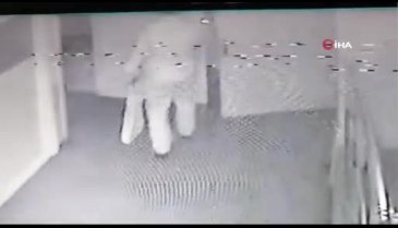 Bursa'da polisten kaçan şahıs ağaca tırmandı!