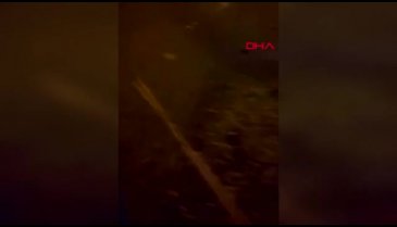 Bursa'da sahilde görülen mavi ışık, yakamoz çıktı
