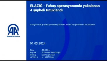 Elazığ'da fuhuş operasyonu: 4 kişi tutuklandı