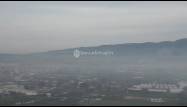 Bursa'da yakılan zeytin dalları bir ilçeyi dumana boğdu!