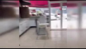 Bursa'da her gün dükkana gelen köpeği besleyen esnaf yüzleri gülümsetti