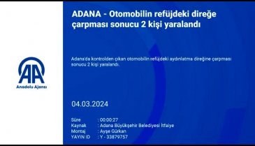 Adana'da aydınlatma direğine çarpan otomobilde 2 kişi yaralandı