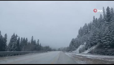 Kastamonu'da kar yağışı: Ilgaz Dağı beyaza büründü