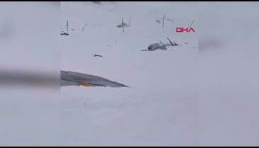 Rize'de çığ düştü! 2 Ev hasar gördü