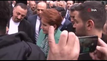 Seçmenden Akşener'e: Sizi seviyordum ama son seçimde size uyuz oldum
