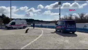 Çanakkale'de göçmenleri taşıyan bot battı!