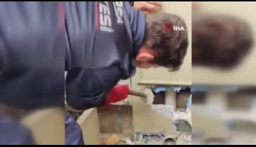 Bursa'da itfaiye ekipleri sıkışan yavru kediyi kurtardı
