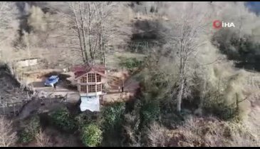 Rize'de 150 yıllık ağacın gövdesine 2+1 ev yaptı