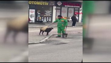 Bursa'da temizlik görevlisi ve sokak köpeğinin anları yüzleri gülümsetti