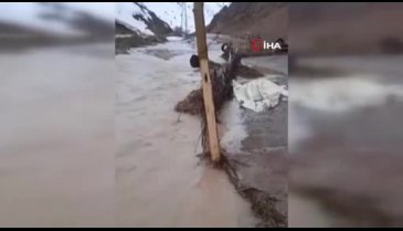 Hakkari'de Hirmin Deresi'nin taşması sonucu 4 ahır su altında kaldı