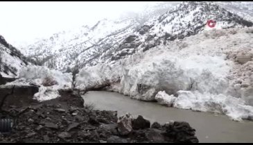 Van-Çatak kara yoluna çığ düştü